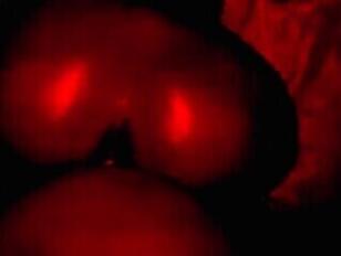 Gecreampied tranny in mijn rode slaapkamer