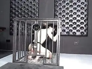 Verbluffende Janny gebruikt Dungeon Twink Janny Costa van Transfan