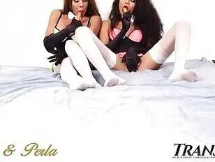 Perla Rios und Tanya Q,die Hasen,holen ihre Spielsachen raus und vögeln dann.