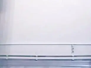 La zorra flaca fue feminizada