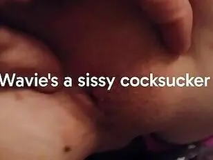Sissy Wavie