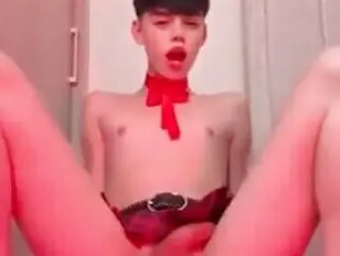 टीएसएमडीपी