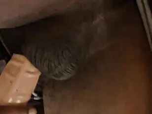 कम वेश्या