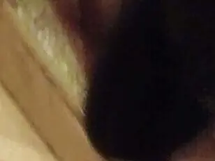 टेडी बियर सामान्यतः