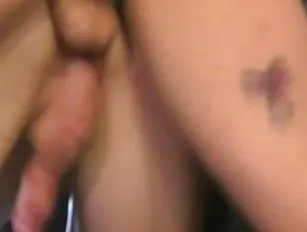 Precum dripping: Shemale Porn Search - Tranny.one