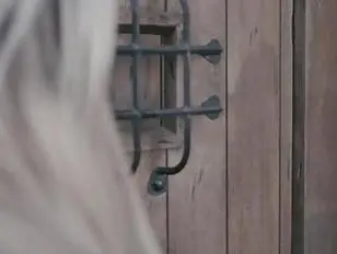 TS Aubrey loves when a guy fucks her ass