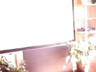 tgirls त्रिगुट तिकड़ी