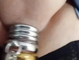 tail hidden under metal rings  