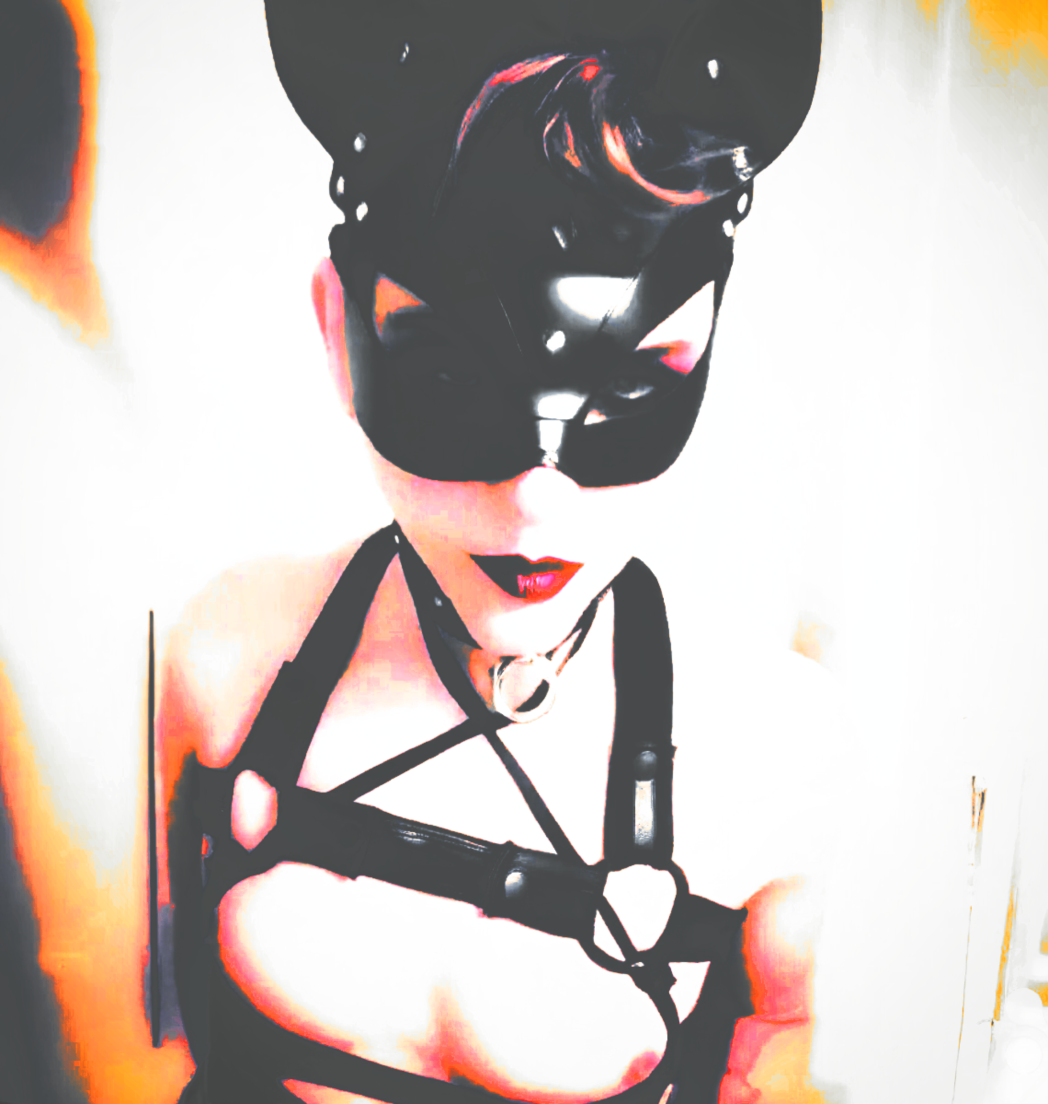 SOMEONE BUY ME A WHIP PLEASE?